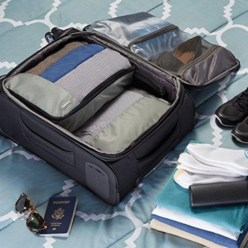 Amazonbasics 4-Piece Packing Cube Set - 2 Medium And 2 Large, Gray