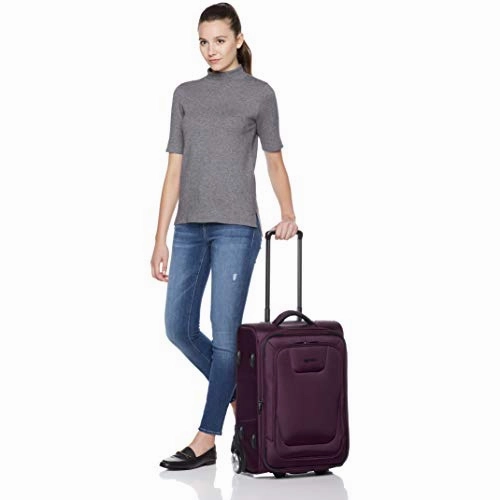AmazonBasics Premium Upright Expandable Softside Suitcase with TSA Lock - 22 Inch, Purple