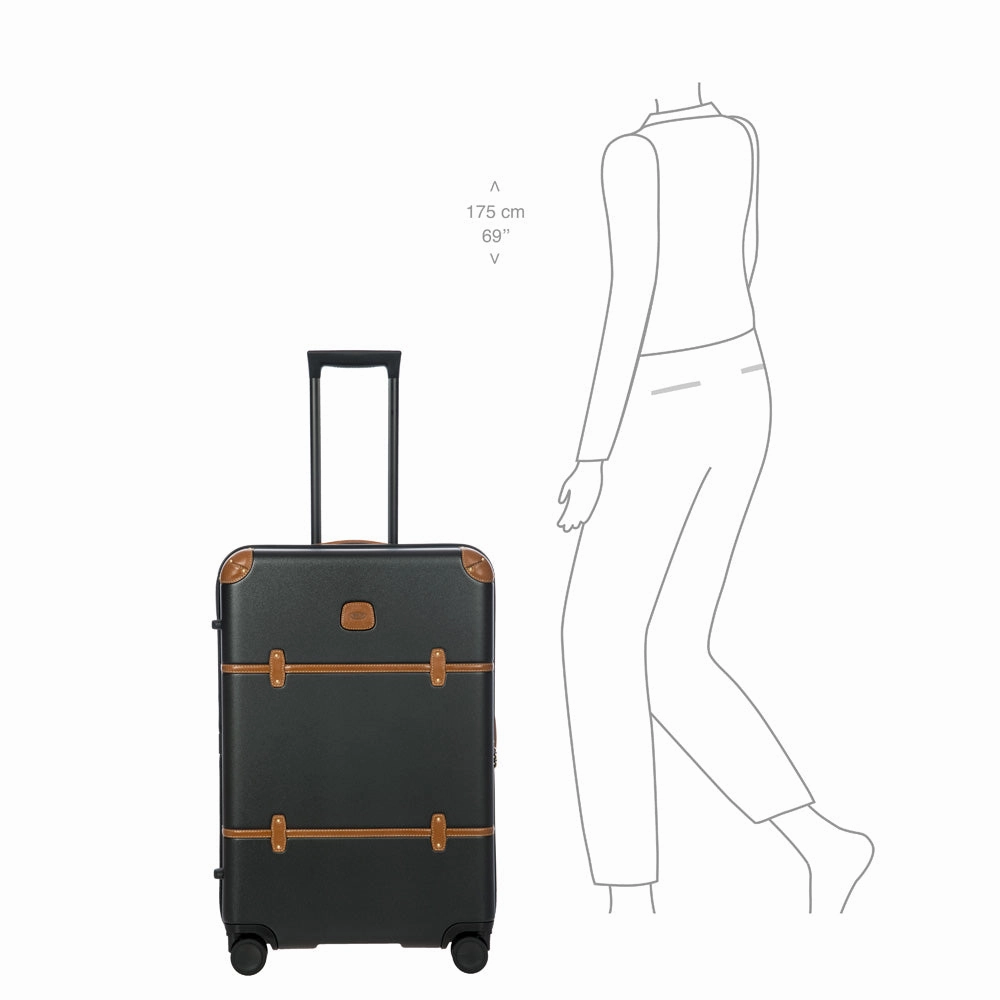 Bric's Bellagio 3.0 Expandable Spinner - TSA Approved Luggage (27-Inch)