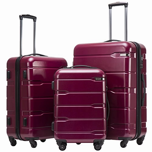 Coolife Luggage Expandable 3 Piece Sets PC ABS Spinner Suitcase 20 inch 24 inch 28 inch (Radiant Pink new)