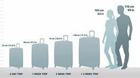 DELSEY PARIS CHATELET AIR Travel Duffle, 42 cm, 29 liters, White (Angora)