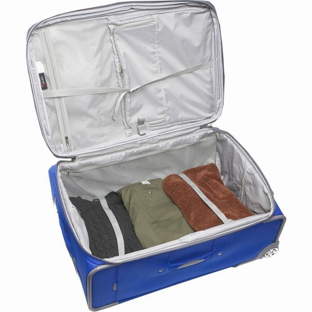 DELSEY Paris Helium Fusion Lite 2.0 29" 2-Wheel Large Luggage