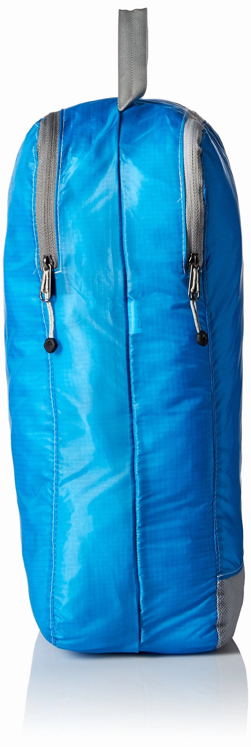 Eagle Creek Pack-It Specter Clean/Dirty Split Cube Packing Organizer, Brilliant Blue (M)