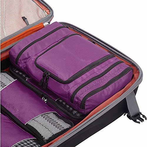 eBags Pack-it-Flat Large Hanging Toiletry Bag and Kit - (Eggplant)