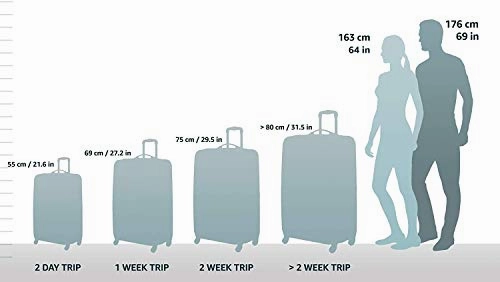 Hartmann Ratio Classic Deluxe Global Expandable Upright Carry On Luggage, Safari