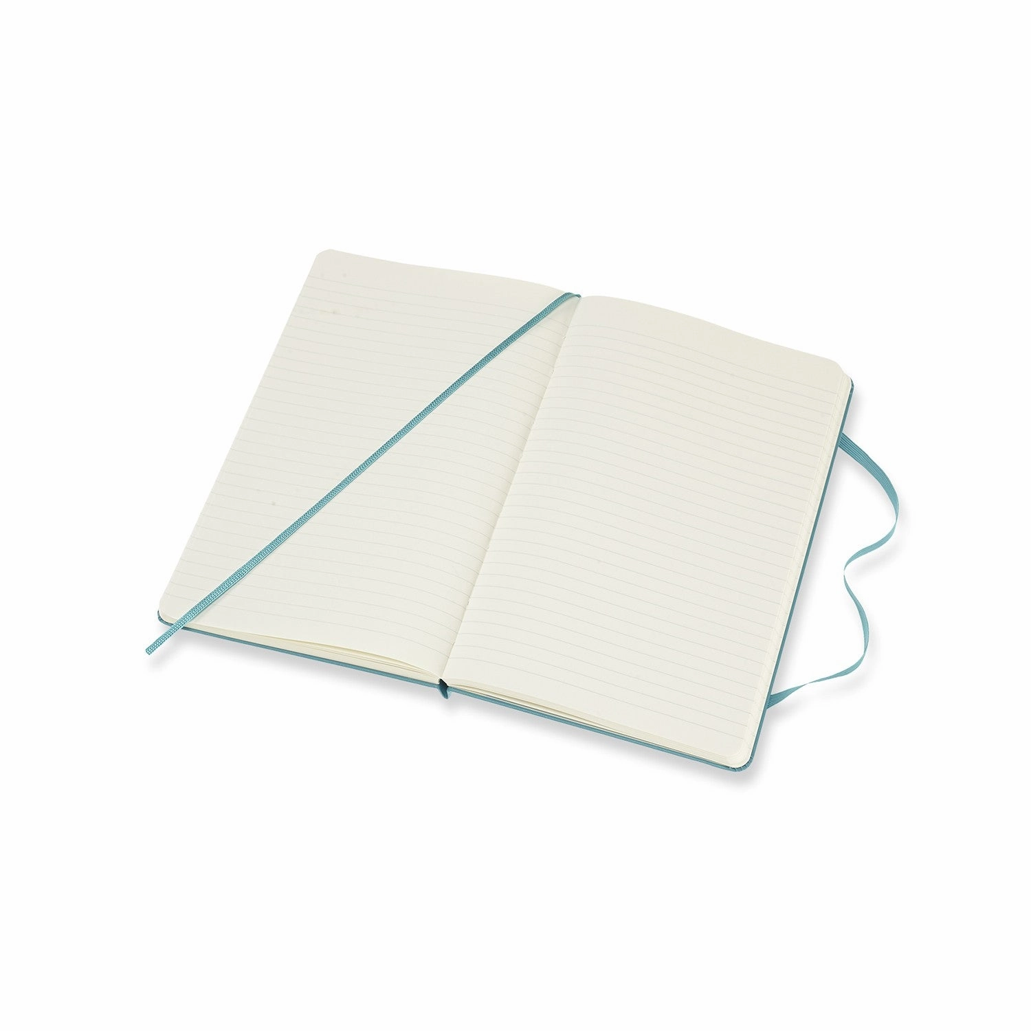 Moleskine Notebook Large Ruled Hard Cover