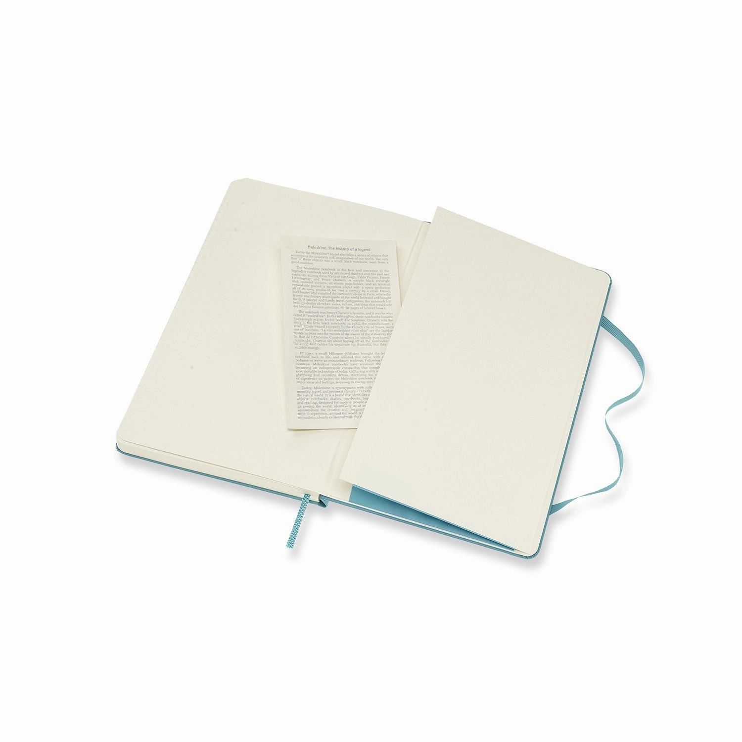 Moleskine Notebook Large Ruled Hard Cover