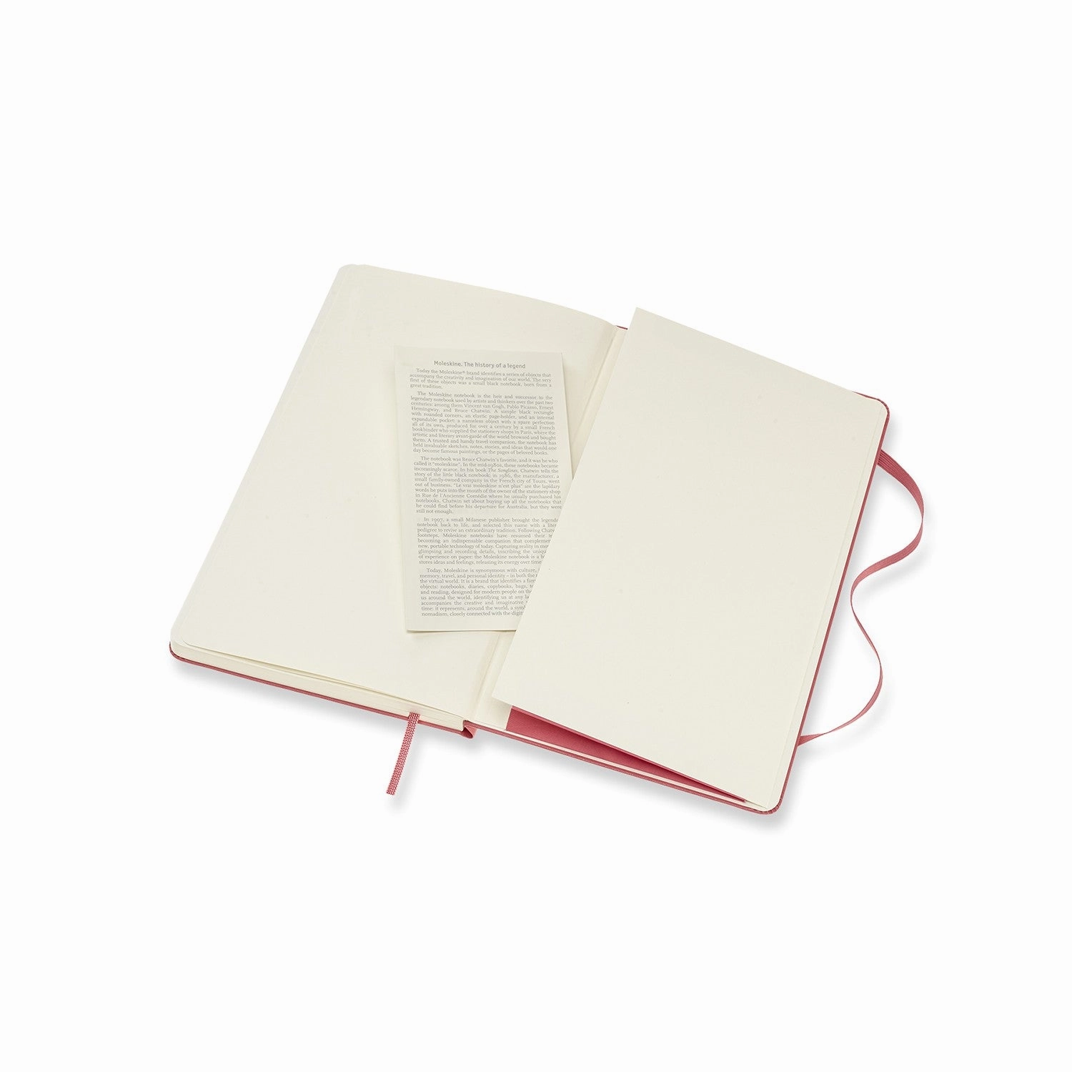Moleskine Notebook Large Ruled Hard Cover