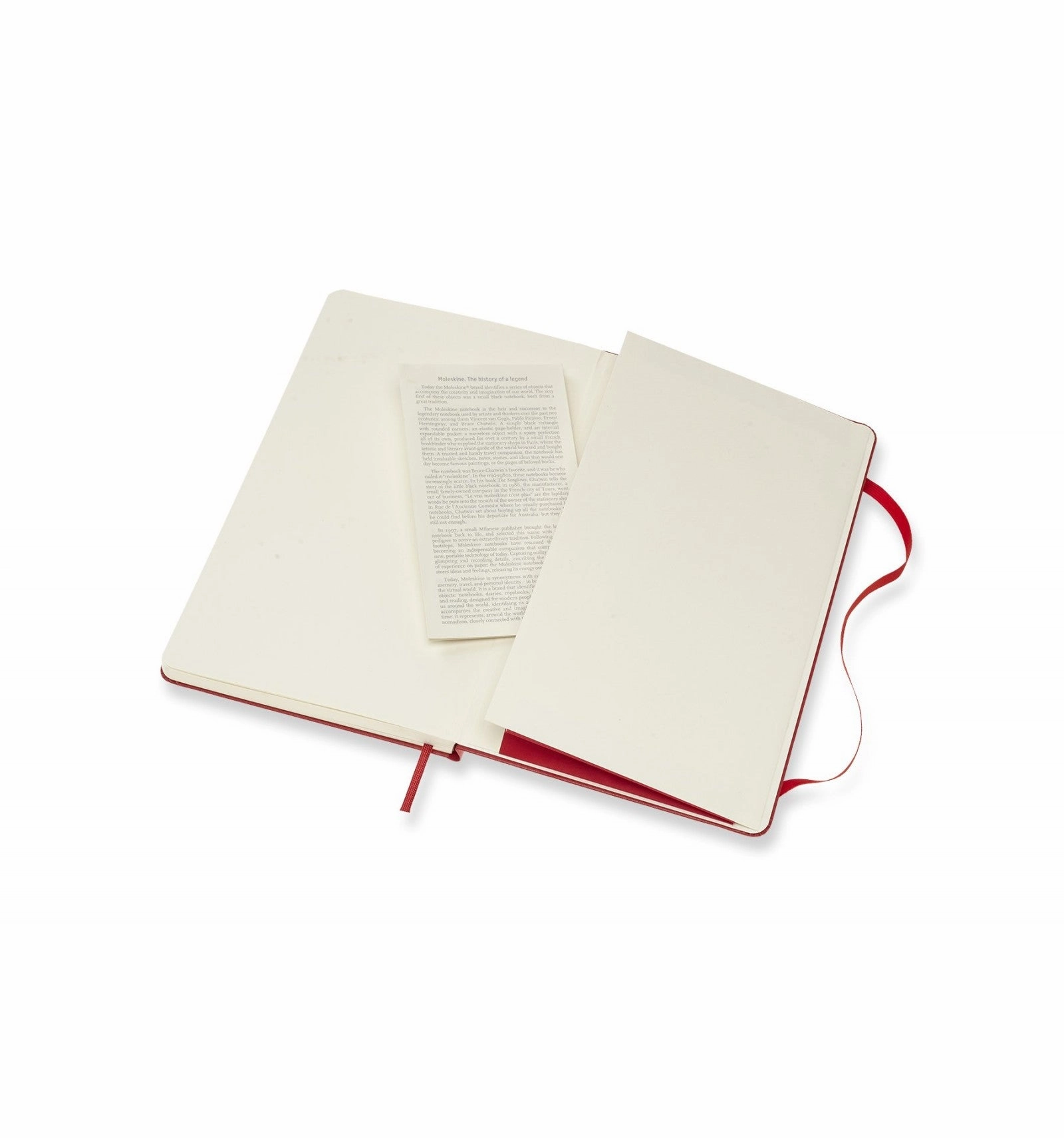 Moleskine Notebook Large Ruled Hard Cover