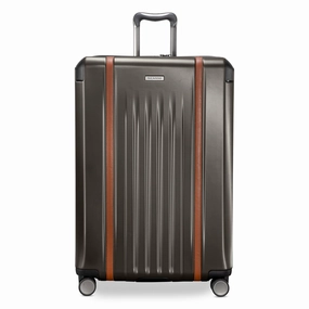 Ricardo Beverly Hills Montecito 2.0 Hardside , 29" Large Check In