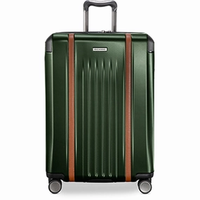 Ricardo Beverly Hills Montecito 2.0 Medium Check-In Spinner