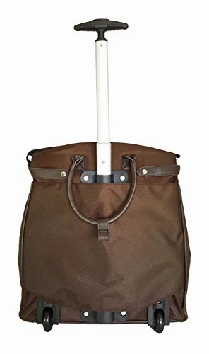 Trendy Flyer Computer/Laptop Rolling Bag 2 Wheel Case Plain Brown