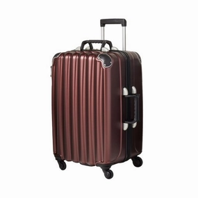 VinGardeValise Wine Carrier The Grande
